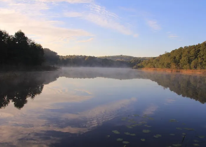Bed and breakfast Dwór Pomorski