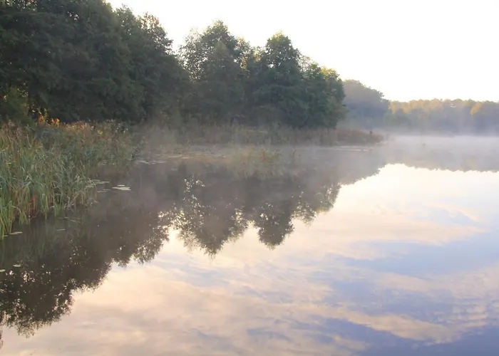 Bed and breakfast Dwór Pomorski